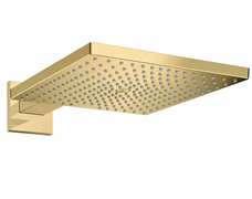 Верхний душ Hansgrohe Raindance 26238990, 300 х 300 мм, 1 режим струи, с держателем, золото