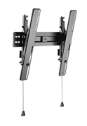 Кронштейн для телевизора Maunfeld MTM-3255TS