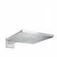 Верхний душ Hansgrohe Raindance 26239000, 30х30 см, 1 режим струи, с держателем, хром - фото 35991