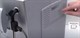 Встраиваемая кофемашина Bosch CTL836EC6 - фото 53408