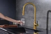 Paulmark Universal, смеситель, брашированное золото un213880-bg