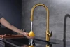 Paulmark Universal, смеситель, брашированное золото un213880-bg