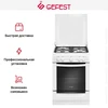 Плита Gefest 6100-02 0009 10456001