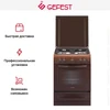 Плита Gefest ПГ 6100-02 0010 10457001