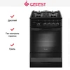 Плита Gefest 5500-03 0044 10504001