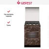 Плита Gefest ПГ 6300-03 0054 10669001