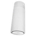 Вытяжка Maunfeld EDELWEISS 39 ISLA White ка-00031299