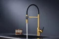 Смеситель для кухонной мойки Paulmark Magneto One Ma213188-BG, с подключением к фильтру, нержавеющая сталь ma213188-bg