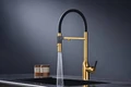 Смеситель для кухонной мойки Paulmark Magneto One Ma213188-BG, с подключением к фильтру, нержавеющая сталь ma213188-bg