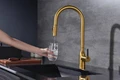 Paulmark Universal, смеситель, брашированное золото un213880-bg