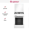 Плита Gefest 6100-03 61003001