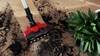 Пылесос Bosch BCS711PET bcs711pet